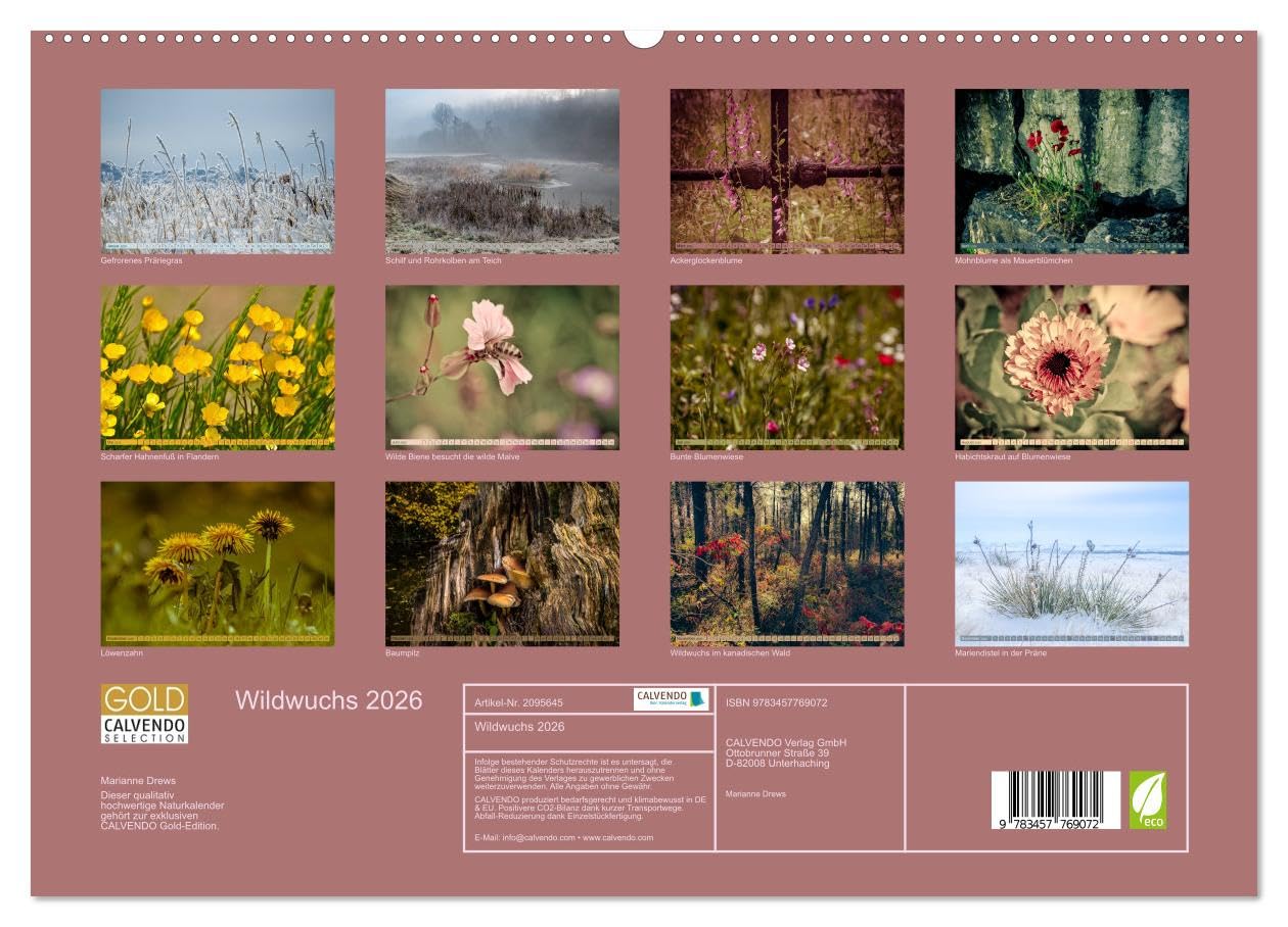 Wildwuchs 2026 (hochwertiger Premium Wandkalender 2026 DIN A2 quer), Kunstdruck in Hochglanz: Wilde Pflanzenschönheiten begleiten durch das ganze Jahr. (CALVENDO Natur)