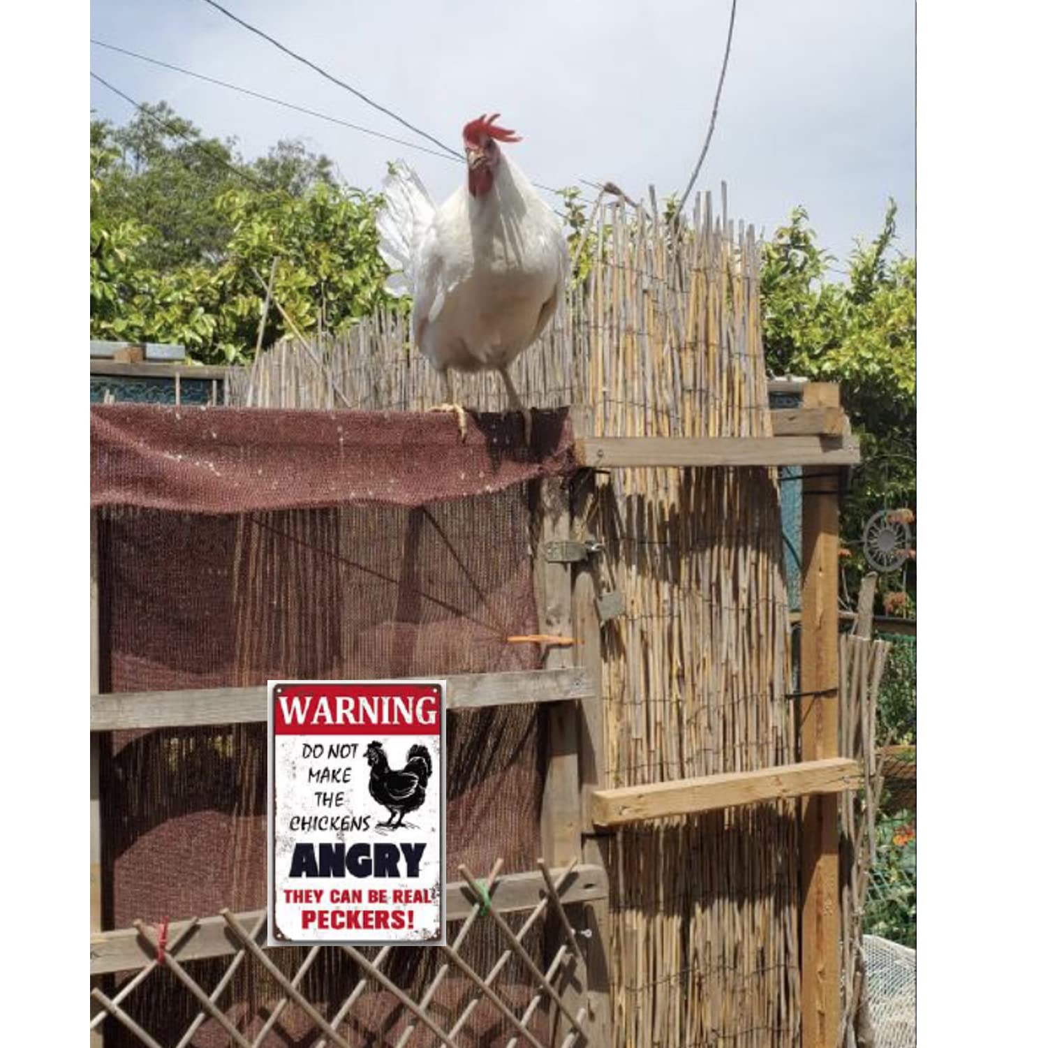 Tasse à Tambour Vntage Nore, Cadeau De Battere Amusant, Cadeau Pour Batteur= | EBay