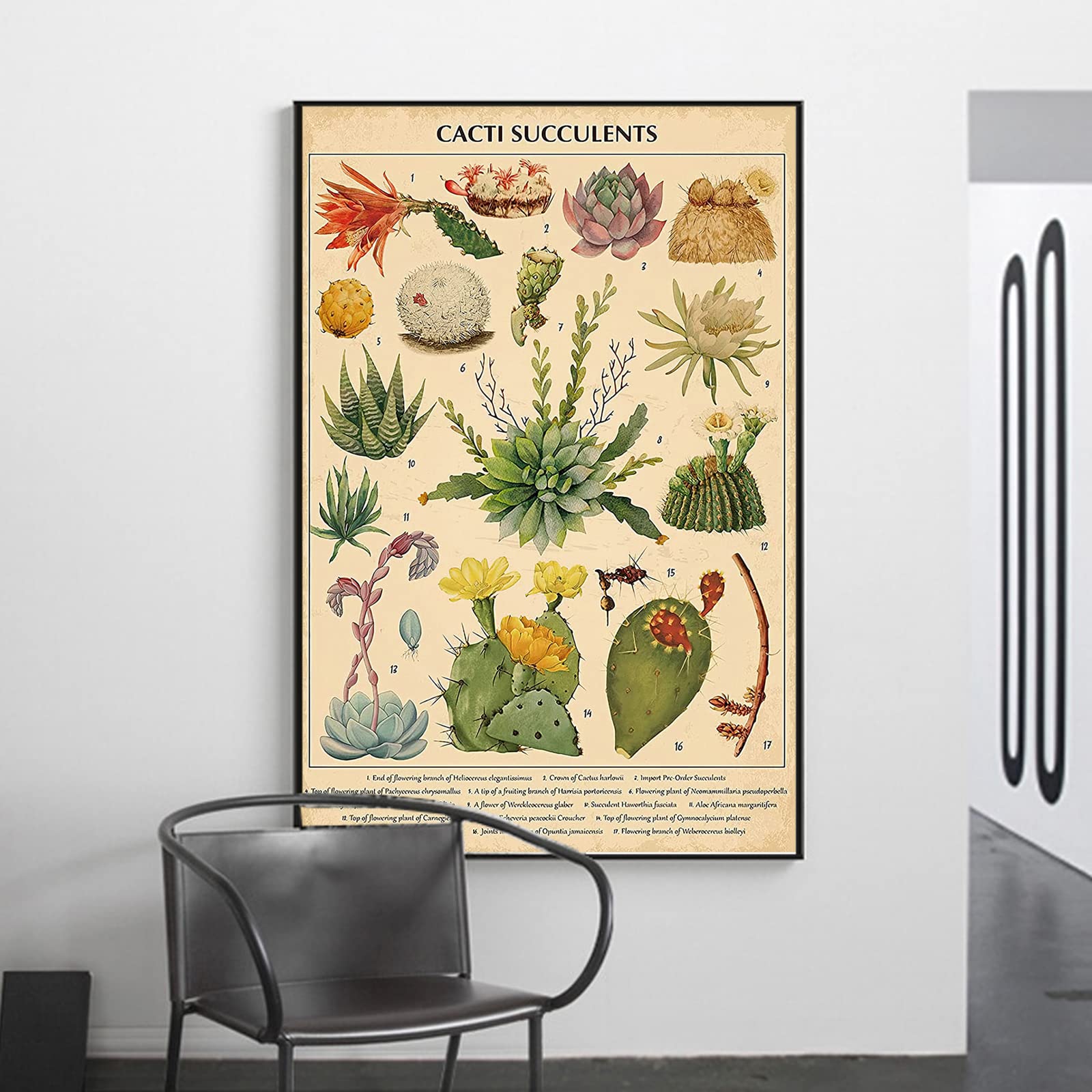 Amazon.co.jp: ZZPT ヴィンテージ サボテン 多肉植物 ポスター