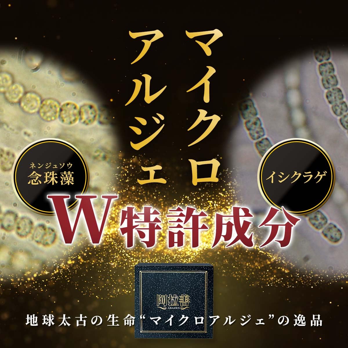 Amazon.co.jp: マイクロアルジェ 阿拉善 あらぜん 念珠藻 イシクラゲ 