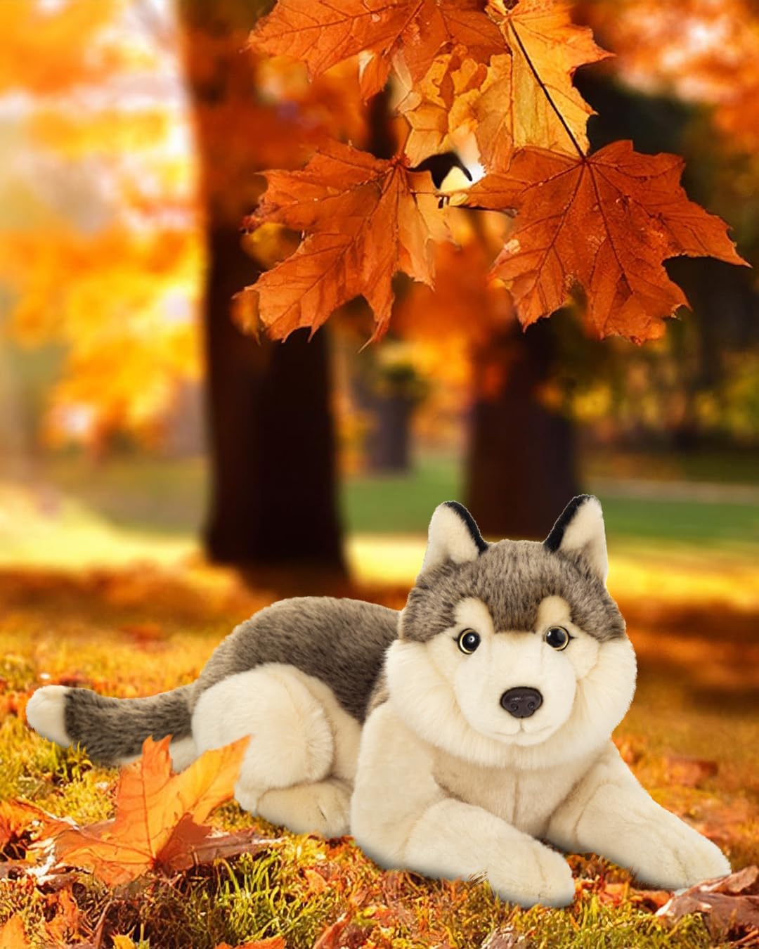 Teddy Hermann 90855 Lobo Tumbado 40 cm, Peluche | Peluche prémium especialmente suave, acabado cuidado, desde 18 meses, lavable, relleno de poliéster reciclado