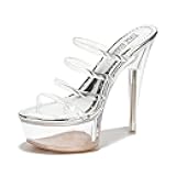 Women's Clear Strappy Stiletto Heels - Nude Platform Sandals with Ankle Strap | Pleaser (Kim)