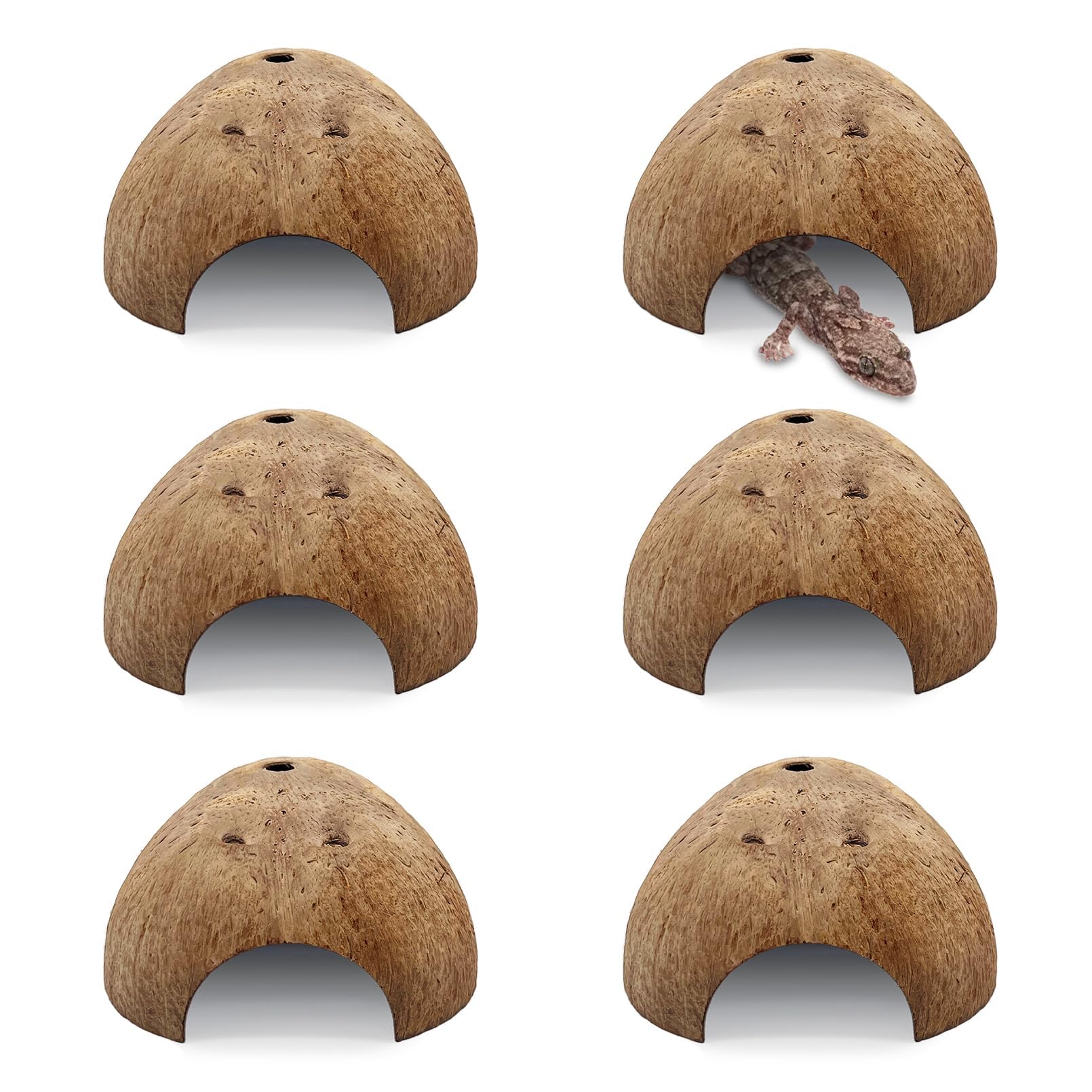 PINVNBY 6 PCS Natural Coconut Reptile Hideouts Lizard Coco Hut Hermit Crab Hut Aquarium Fish Hide Cave Spider Snail Climber Toys