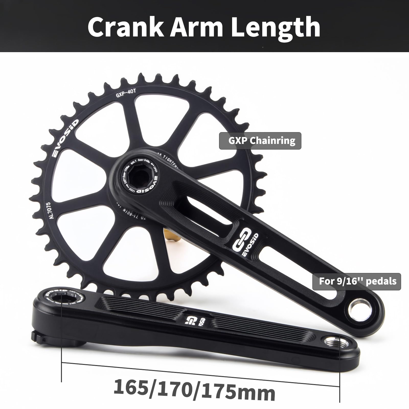 Track Crankset Bike Crank Bottom Bracket Alpina Track Crankset
