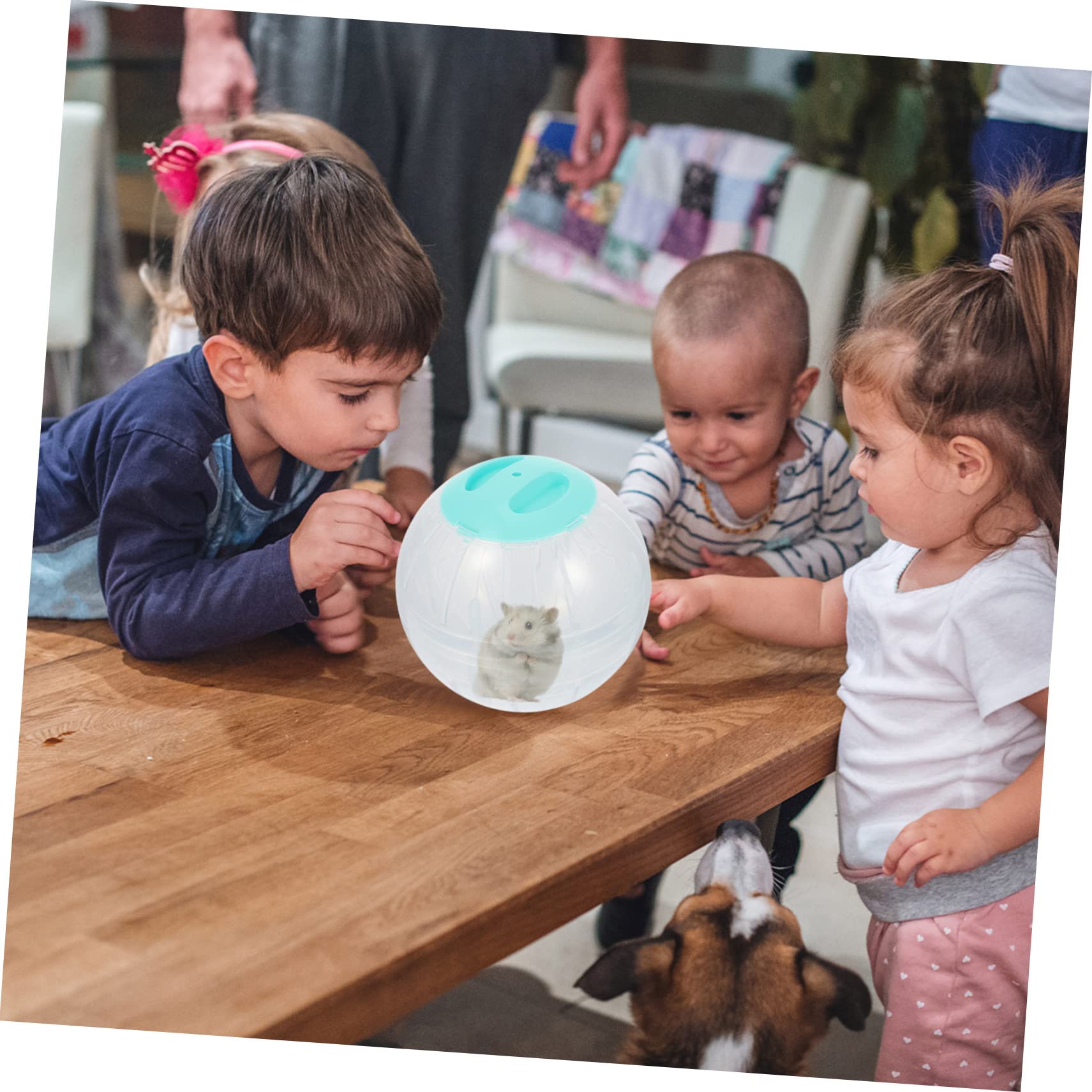 COLLBATH 4stücke Hamsterball Große Transparente Laufkugeln Für Hamster Nager-Spielzeug Bewegung Und Spaß Für Zwerghamster Und Andere Kleintiere