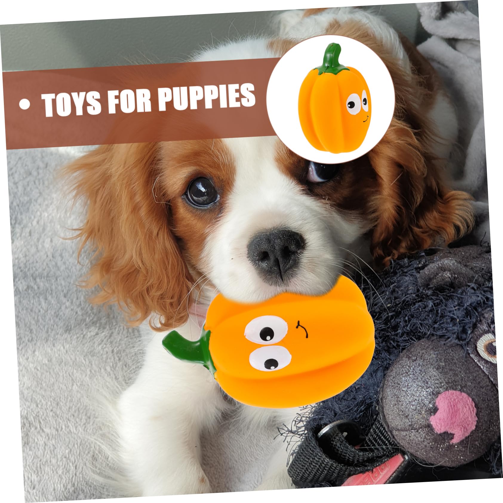 Toddmomy 5pièces Jouet Squeaky Interactif Forme De Citrouille pour Chiens Jouet à Mâcher pour Chiots Et Petits Chiens Et Matériau Latex Souple