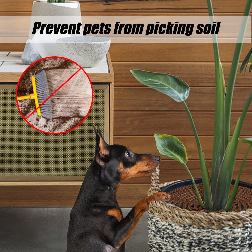 Lot de 2 Protection pour Pot de Fleurs, Grille Protection Plante 19cm, Protecteur De La Plante, Protection Plante Chat, avec 8 Boulons,Protège des Enfants et Animaux qui Creusent Terre Dans Pots