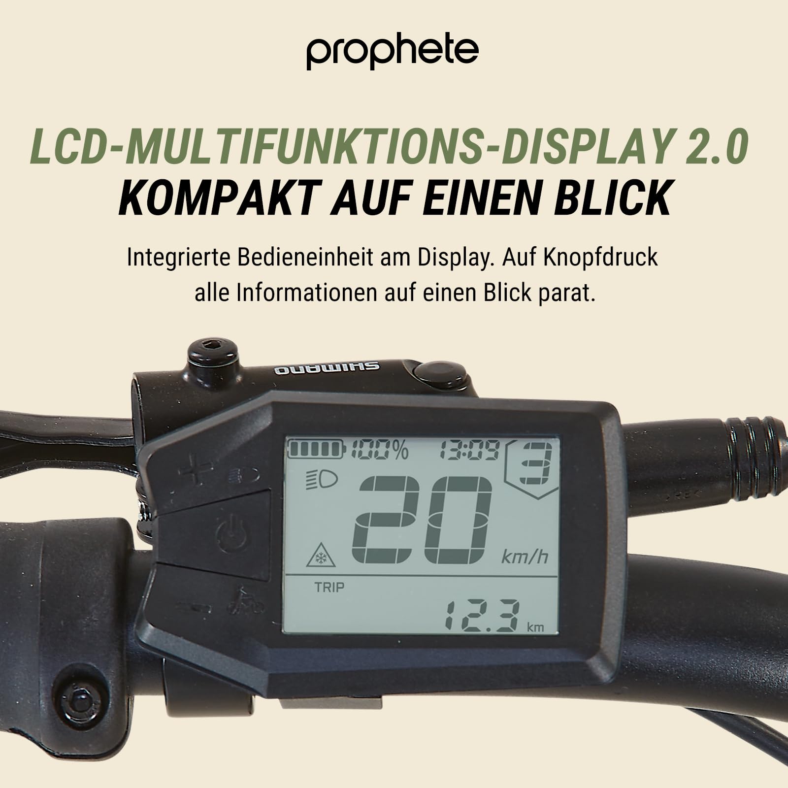 Prophete DICE 2.0 E-MTB 29", E-Mountainbike | Hinterradmotor 48V, 250W, 46Nm, 9-Gang Kettenschaltung, 130 km Reichweite (480 Wh), Suntour XCT Federgabel