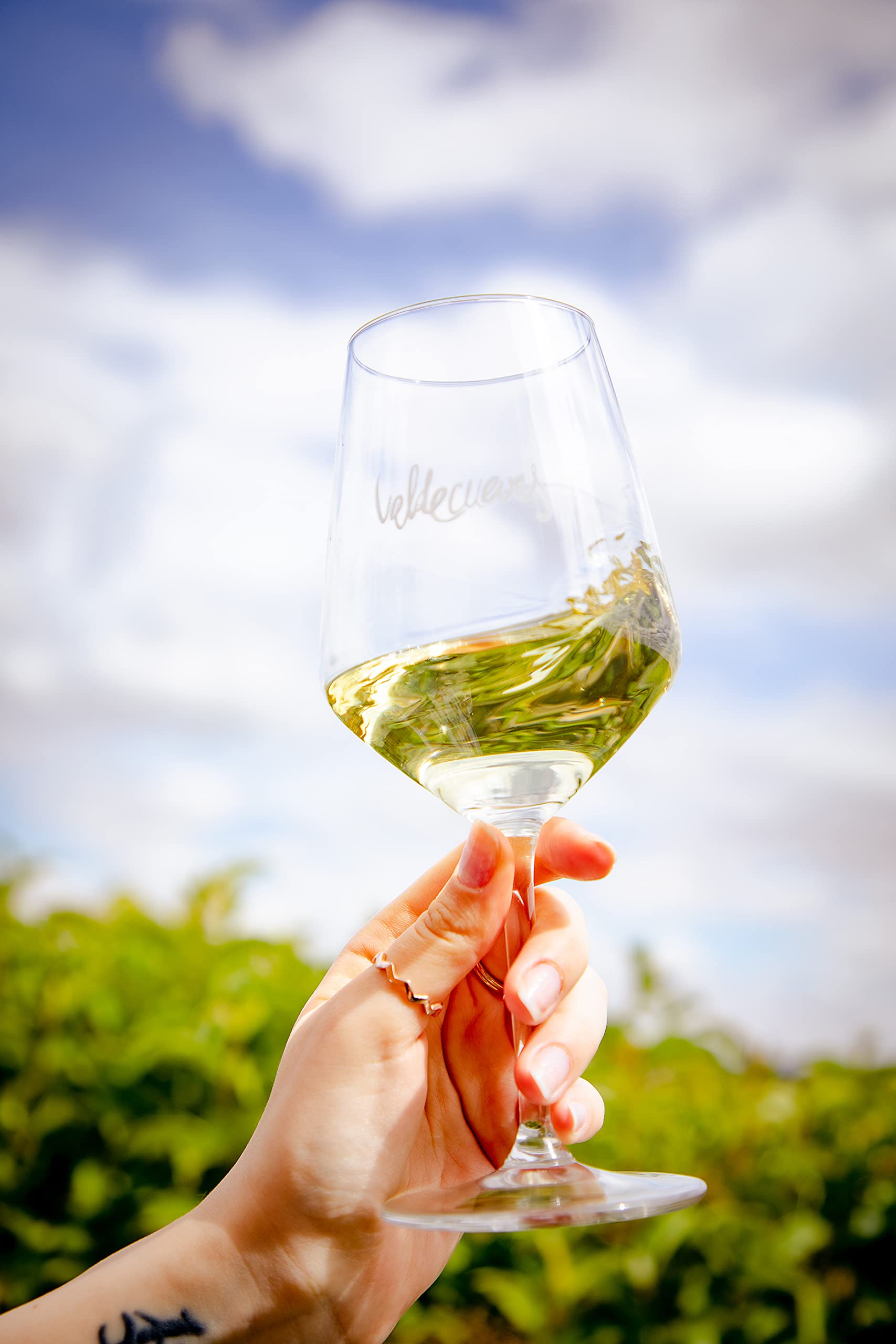 Valdecuevas Verdejo D.O Rueda Vino Blanco Caja WEB de 6 Botellas 75 cl