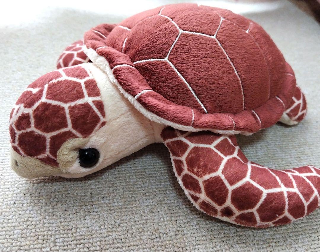Amazon.co.jp: 海遊館 ウミガメ ぬいぐるみ : おもちゃ