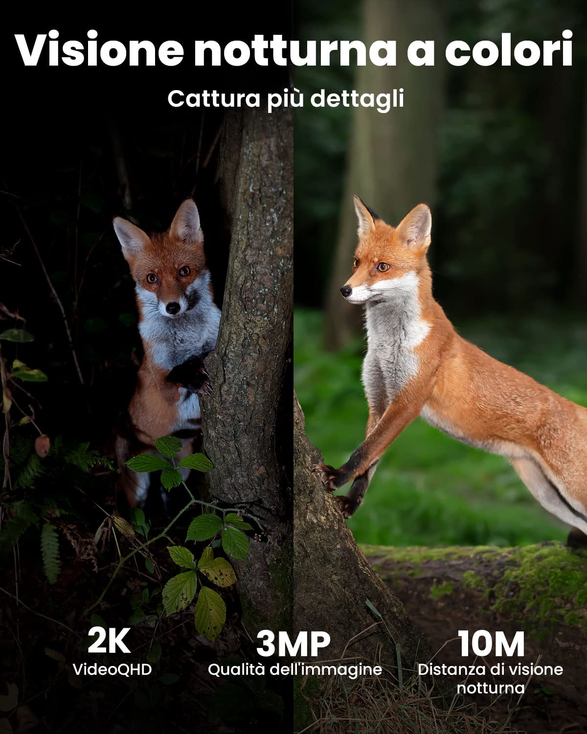 ieGeek 4G LTE Telecamera con SIM con Batteria, 2K 3MP Telecamera 4G con Pannello Solare, Telecamera Esterno Senza Fili, Rilevamento PIR, IP65, Visione Notturna a Colori, Allarmi acustici e luminosi