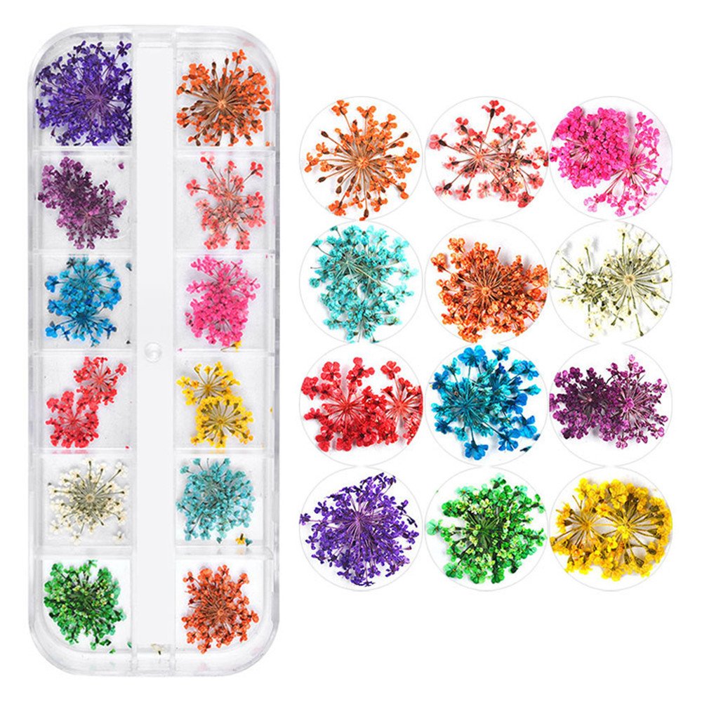 CHSEEO 3D Decoration Real Dry Dried Flowers Nail Stickers Nail Art Rhinestones Nail Art Tips Studs for DIY Nails Face Makeup Clothes Shoes Bags Decoration #1