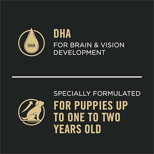 Miniatura 4 de Purina Pro Plan Alimento húmedo para cachorros con alto contenido de proteínas, entrada de pavo clásico, (12) latas de 13 onzas