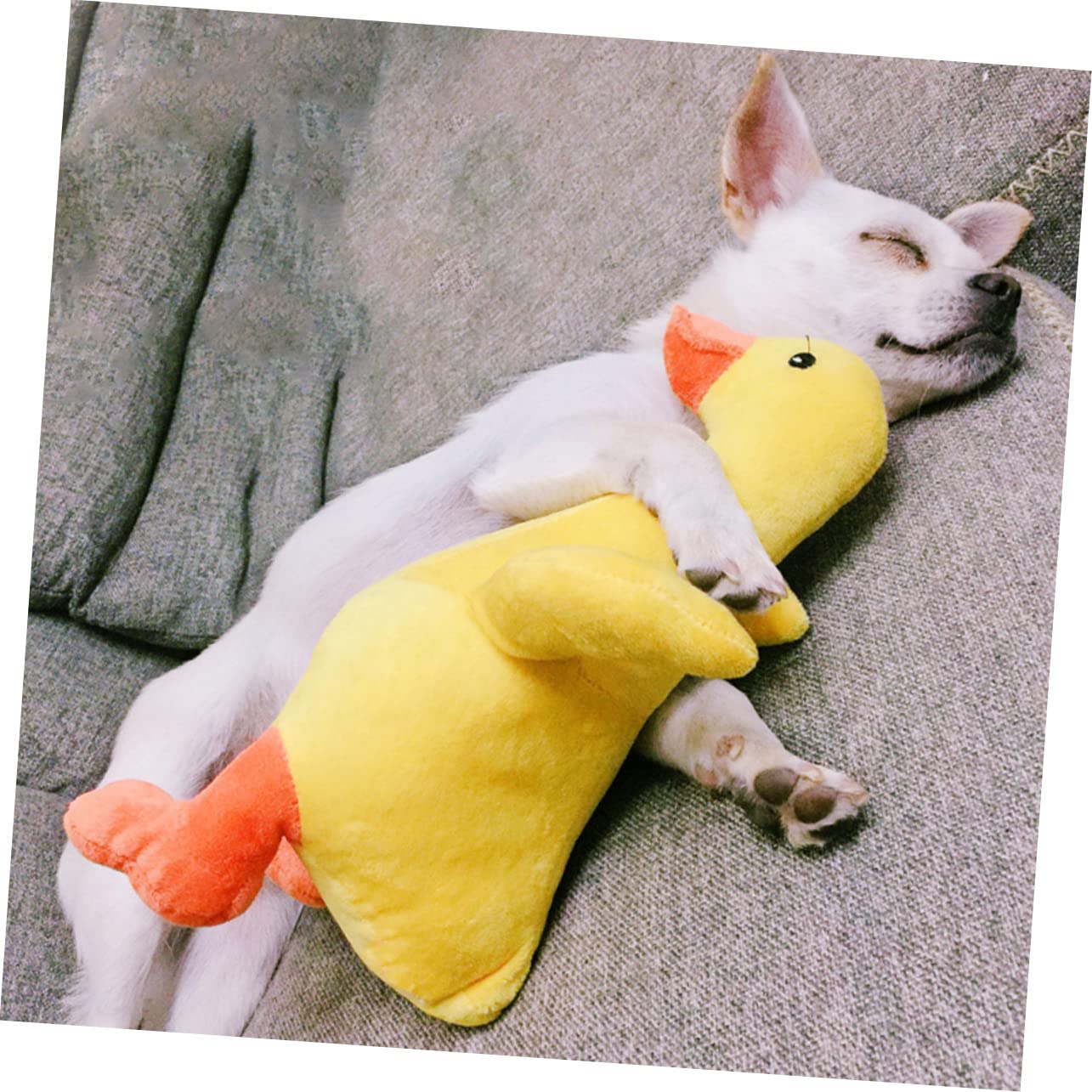 YARNOW 2 Piezas Juguetes para Mascotas Juguetes para Masticar para Perros Juguetes para Masticar Perros pequeños Peluche Almohadas de Cama Juguetes para Cachorros Relleno Buldog