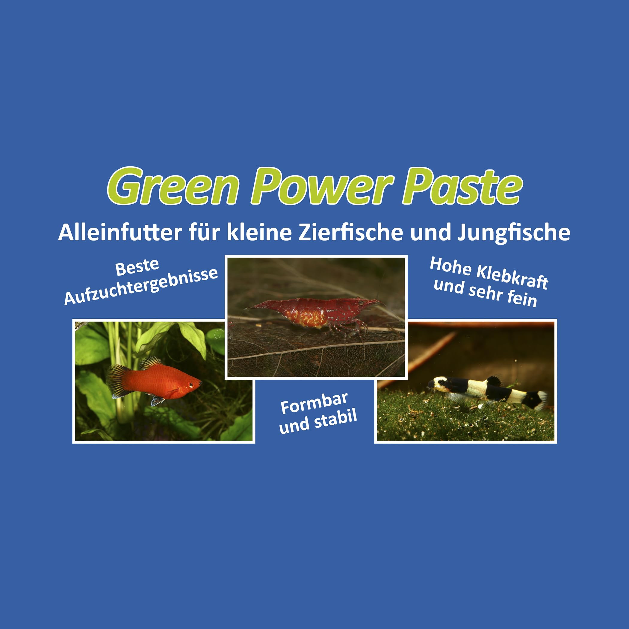 Futterpaste: Green Power Paste - Futter für Garnelen und Zierfische, 3 x 70 g = 210 g
