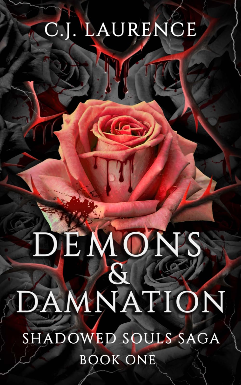 Demons & Damnation: A steamy dark paranormal romance novel: 1 (Shadowed Souls Saga)