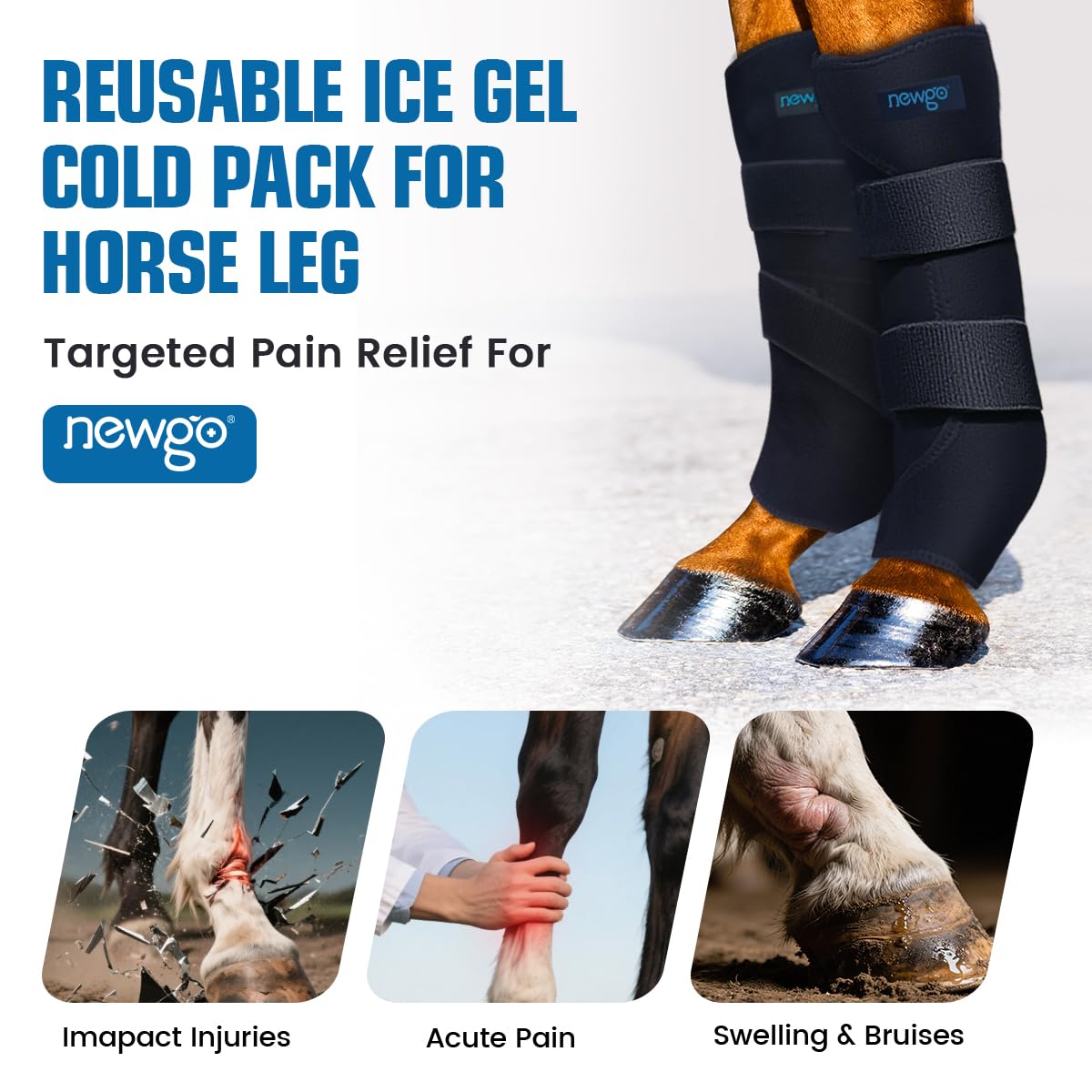 NEWGO Ghette refrigeranti per Cavallo, riutilizzabili, per lesioni, Raffreddamento, Cavallo, Ginocchia, 2 Benda con 4 lavagne di Raffreddamento per Stivali e Zoccoli (2 Pezzo)