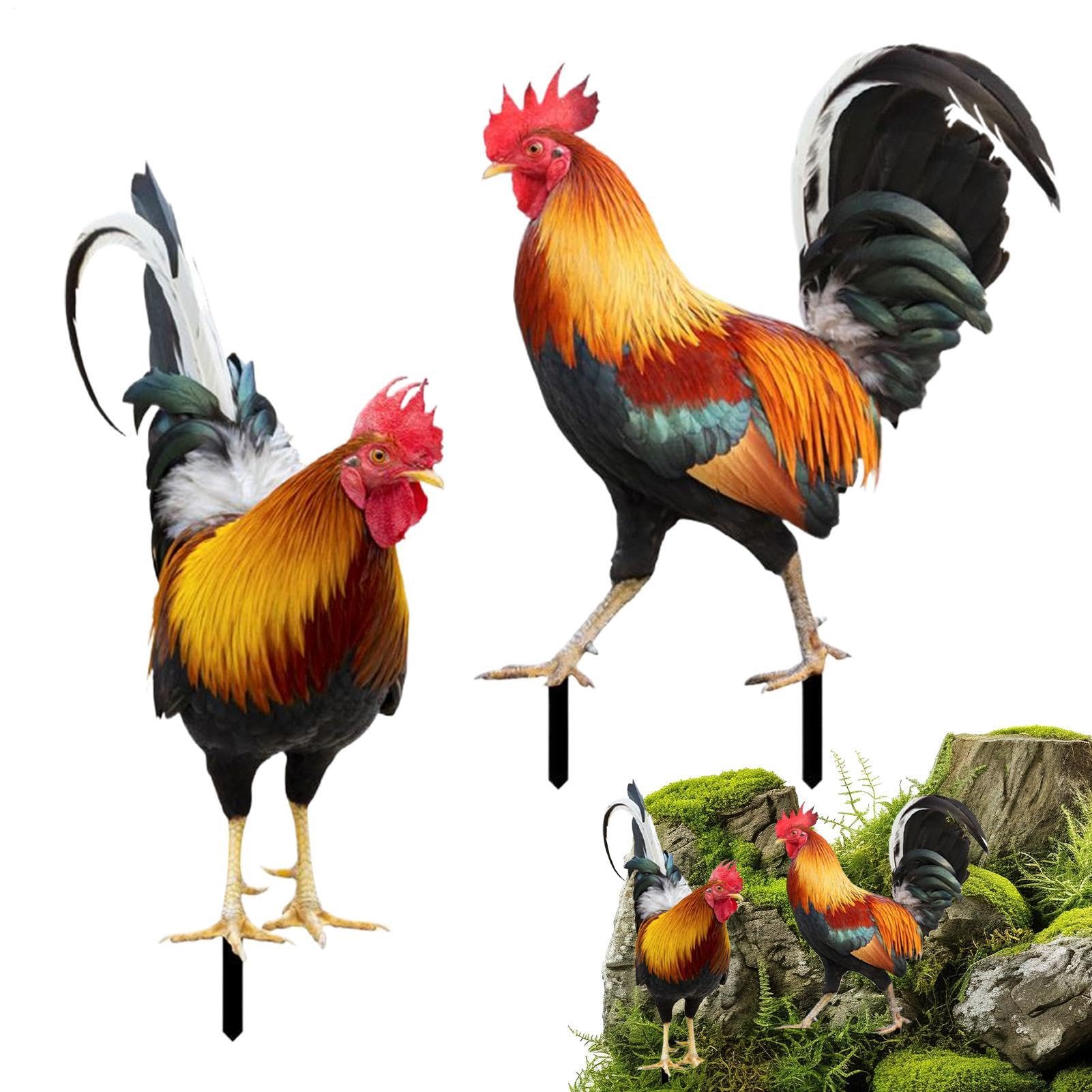 Piquets de jardin poule en métal robustes contre la monotonie de l'arrière-cour