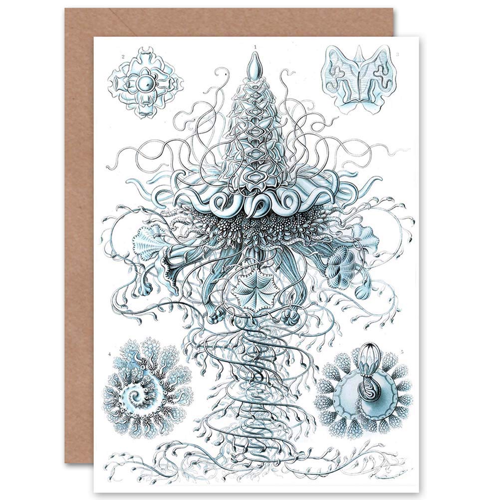 Wee Blue Coo NATURE JELLYFISH ERNST HAECKEL BIOLOGY BIRTHDAY BLANK GREETINGS CARD
