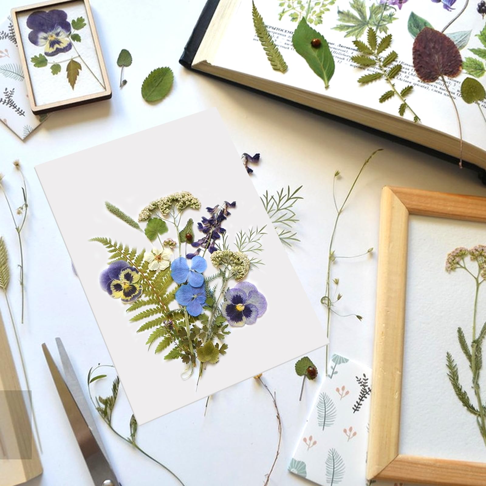Aboofx Lot de 20 feuilles de papier buvard pour presse à fleurs, grand format 21 x 30 cm, format A4, papier buvard hautement absorbant et réutilisable pour presse-fleurs, herbarium, papier d'artisanat