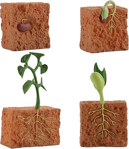 4 unids ciclo de vida plantas verdes juguete educativo PVC ciclo de crecimiento planta falsa juguete para niños herramienta de enseñanza