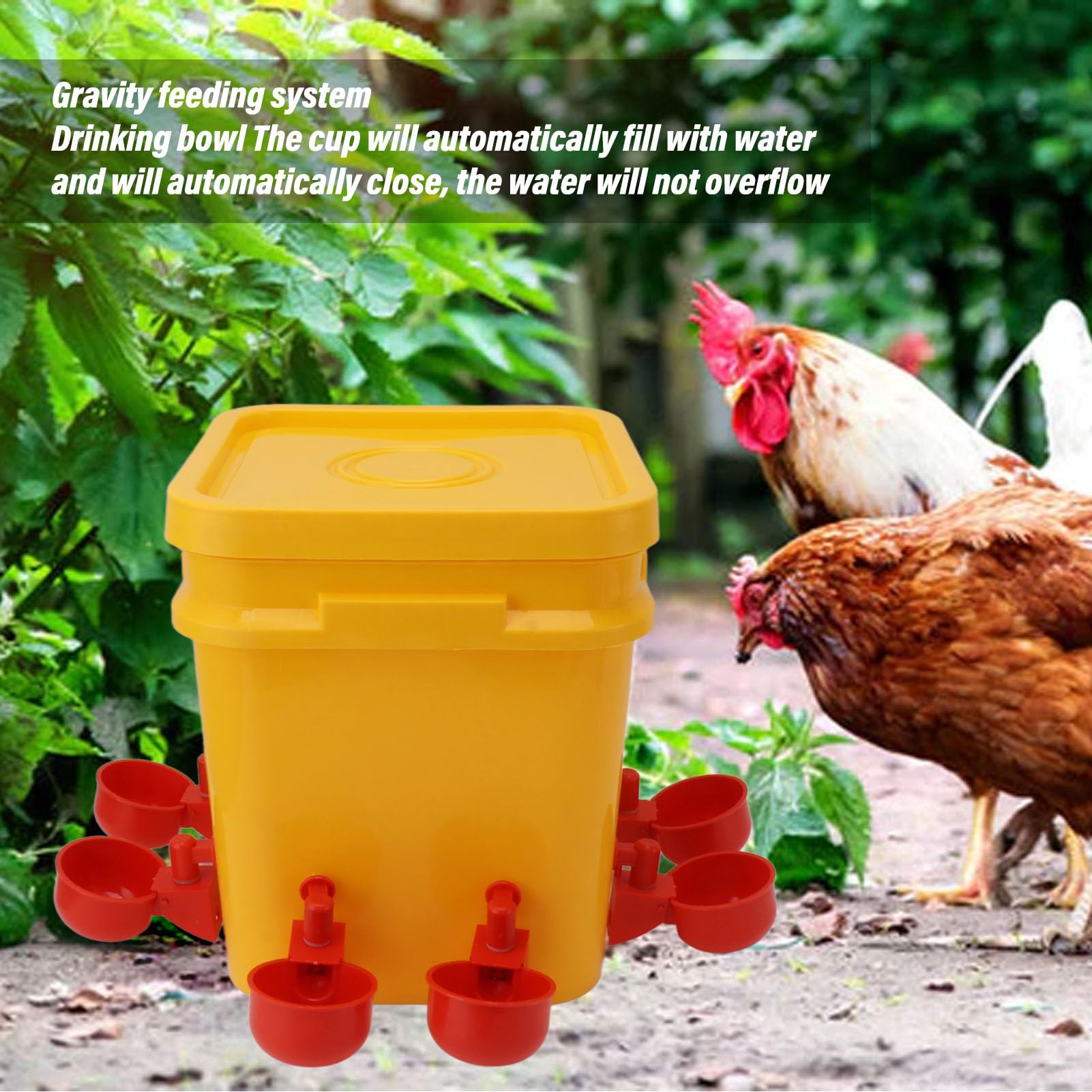 12 Bebederos Automáticos Para Pollos: Tazas De Riego Sin Pérdidas Para Gallinas, Patos Y Codornices