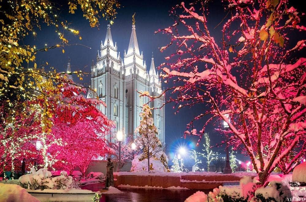 Diamond Painting Kits for Adults Kids Salt Lake Temple Scenery DIY 5D Diamond Painting Arts Craft for Home Wall Decor Birthday Gifts 12x16 in