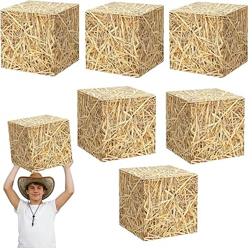 6 Pcs Hay Bales Paper Boxes Western Cowboy Party Decor Box Birthday Farm Favors Supplies Western Themed Party Decorations Boots on The Ground Decorations Hay Bales for Decoration Fake Hay