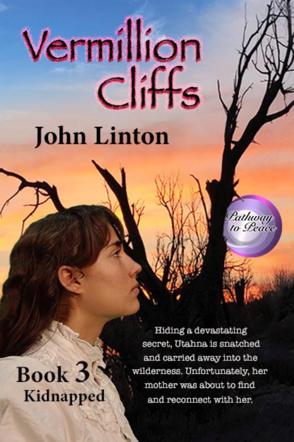 Vermillion Cliffs Book 3: Kidnapped