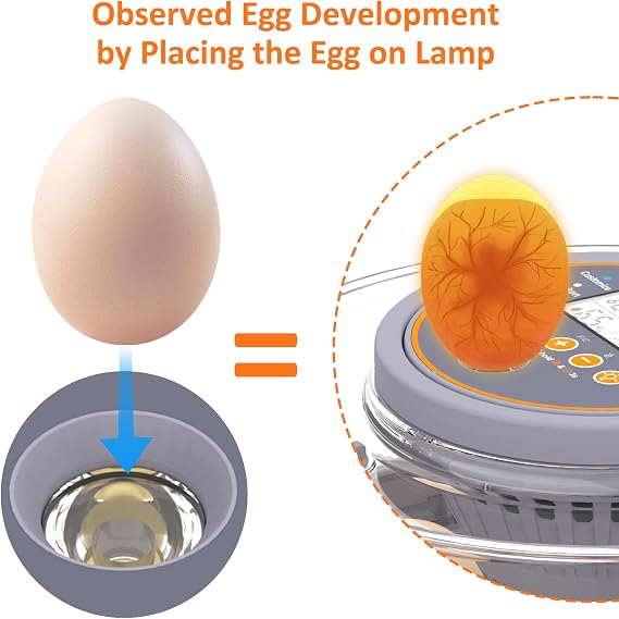 Incubators for Hatching Eggs, Egg Incubator with Automatic Egg Turning and Humidity Control, Intelligent Egg Incubator with Automatic Temp. Adjustment (12 Count)