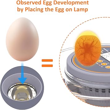 Incubators for Hatching Eggs, Egg Incubator with Automatic Egg Turning and Humidity Control, Intelligent Egg Incubator with Automatic Temp. Adjustment (12 Count)