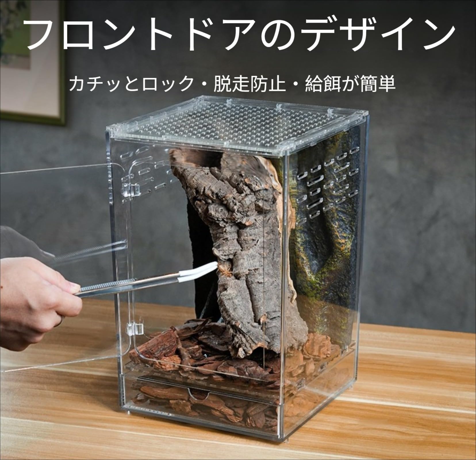 Amazon | 【jieseaban】レプタイルボックス 爬虫類 飼育ケース 大型 虫