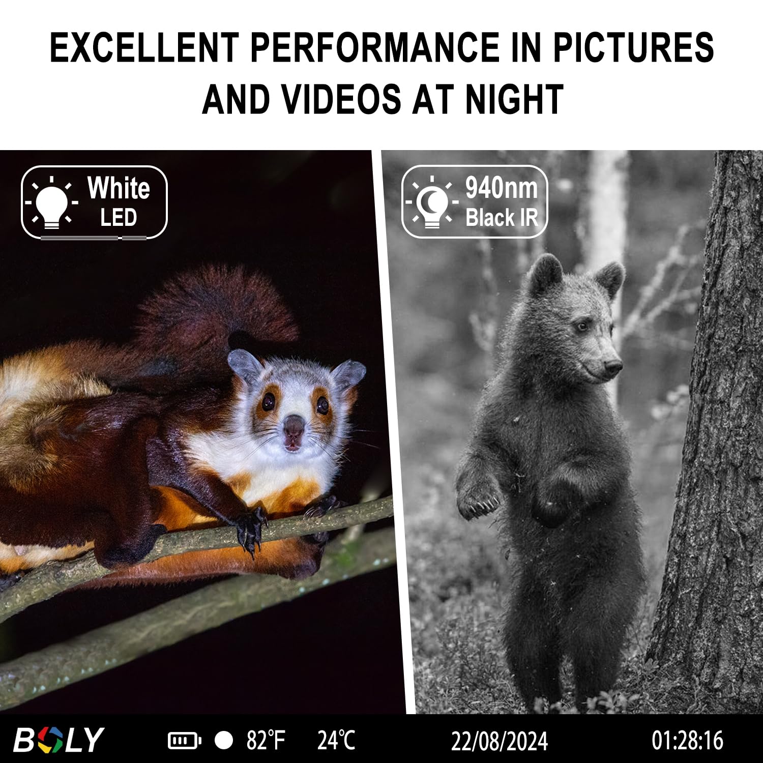 BolyGuard Wildkamera Full HD 4K 4G 37MP Fotofalle 940nm Schwarz IR Kein Glanz IP68-Schutzklasse Überwachungskamera Wildtierbeobachtung Einfache Bedienung Keine Taste Einschalten,um Foto zu Machen