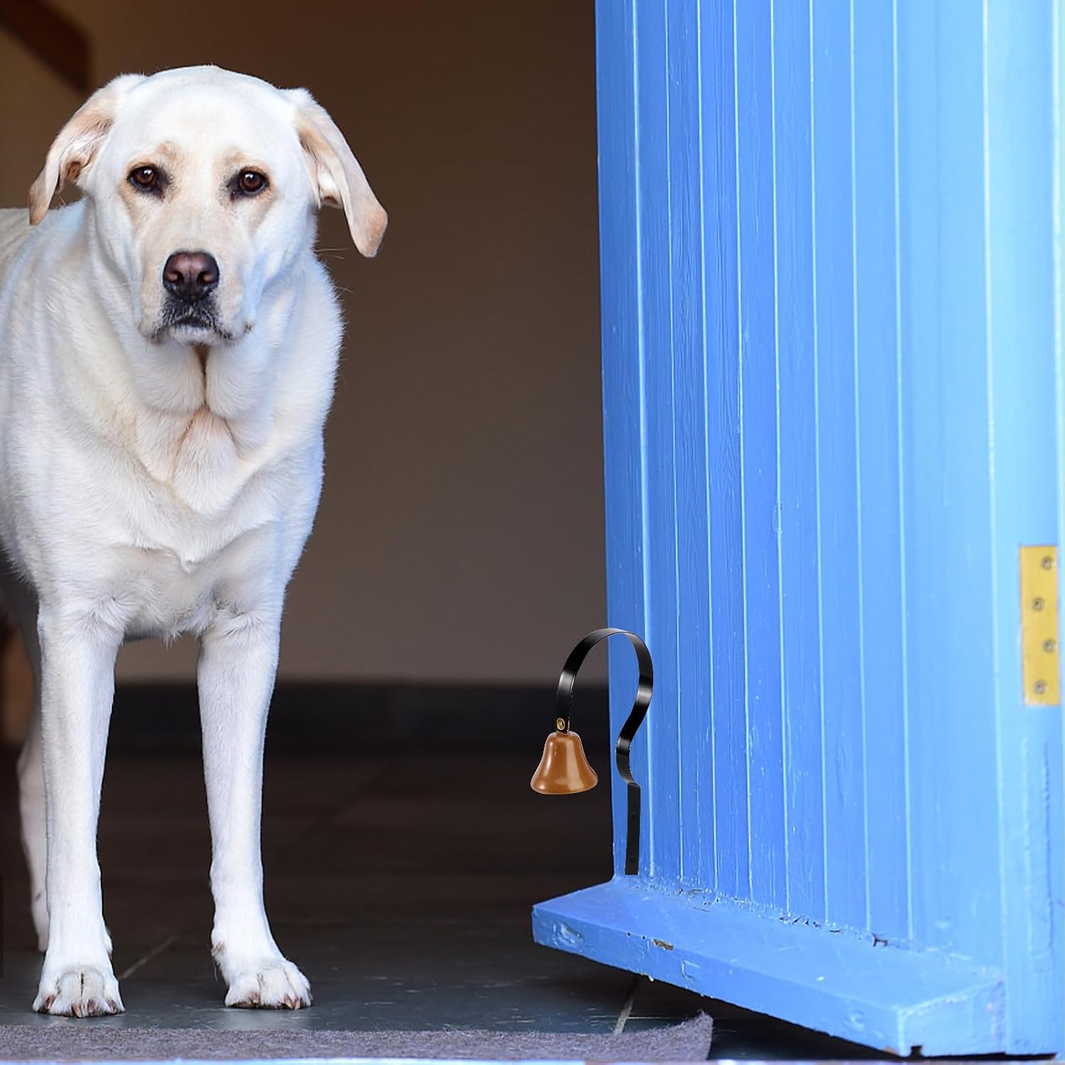 ERINGOGO Metal Dog Doorbell for Potty Training and Housebreaking, Sturdy Metal Pet Bell Suitable for Puppies and Grown Dogs, Easy Installation on Door or Wall for Effective House Training
