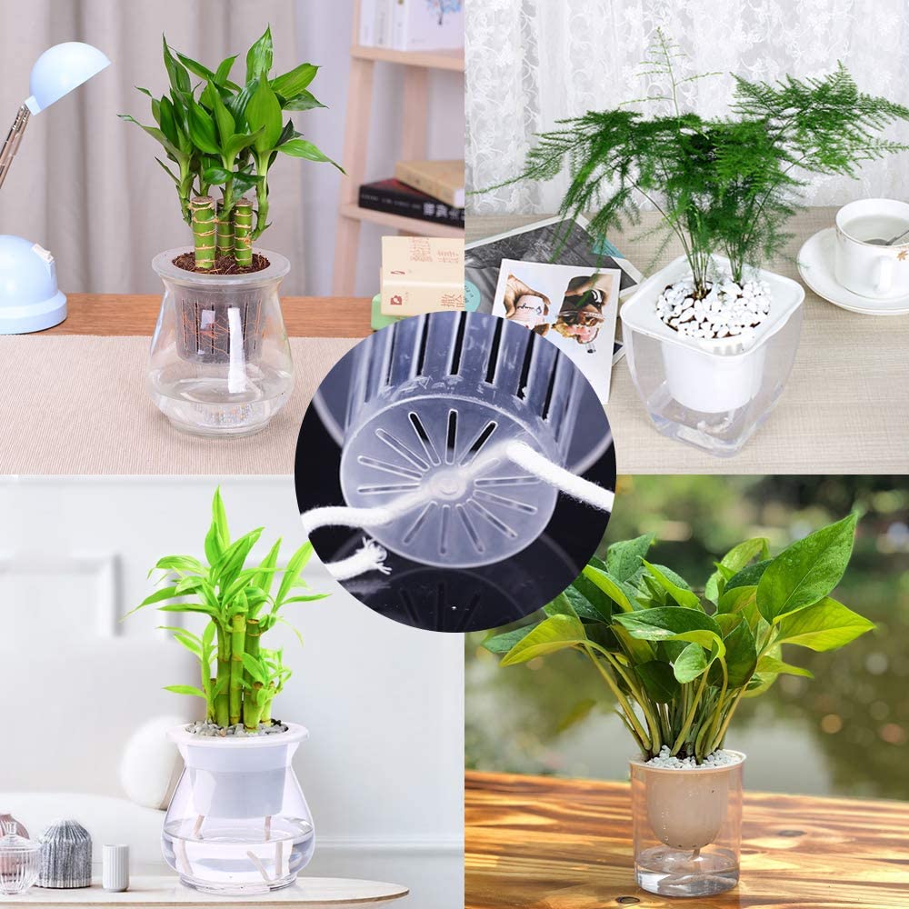 Tim Tim Agro 150 Feet Self Watering Wick Cord Watering Rope for Indoor Outdoor Potted Planter Pots DIY Automatic Watering Device System Potted Plant Sitter Auto Drip Irrigation Waterer (150 Feet) 1