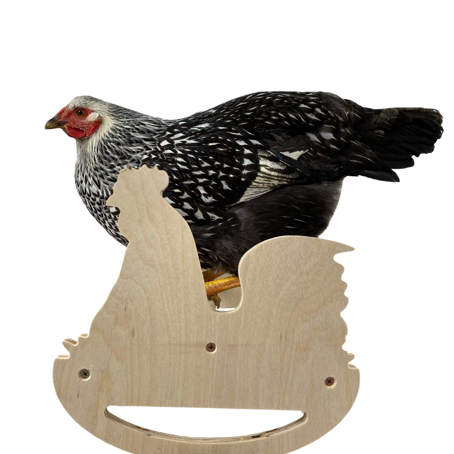 Chicken Rocking Roosting Bar Toy for Coop Made in The USA! Solid Strong Natural Wooden Swing Ladder Perch Toy for Roosters Pollos Baby Chicks Chooks
