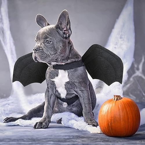 Miniatura 7 de Disfraz de murciélago para perro, paquete de 2 disfraces de Halloween para mascotas, alas de murciélago para cachorro con correa para perro, ropa