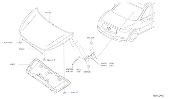 UNF　ショックランド　3枚セット MTG UNF ショックランド10種類セット
