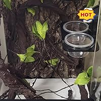 Vista 6 de 100 tazas + repisa de alimentación [ventosa], cuencos de comida para reptiles anfibios y plato de agua para Gecko crestado, lagarto u otros
