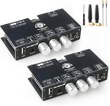 100W Mono Bluetooth 5.3 Amplifier Board, TPA3116D2 Digital Power Amp Module, Support TWS Wireless Pairing, AUX/USB/Bluetooth Input, Wide Voltage Input DC 12-24V,for DIY Speakers(2PCS TW100U)