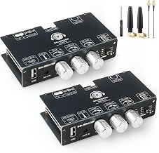 2PCS TW100U 100W Mono Bluetooth 5.3 Amplifier Board with TWS, TPA3116D2 Chip, DC 12–24V Input, Built-in Boost to 19V/24V, AUX/USB/Bluetooth Input, Mode Switch for DIY Subwoofer/Speaker