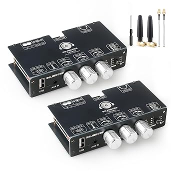 2PCS TW100U 100W Mono Bluetooth 5.3 Amplifier Board with TWS, TPA3116D2 Chip, DC 1224V Input, Built-in Boost to 19V/24V, AUX/USB/Bluetooth Input, Mode Switch for DIY Subwoofer/Speaker