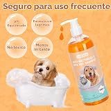 Ver la foto 4