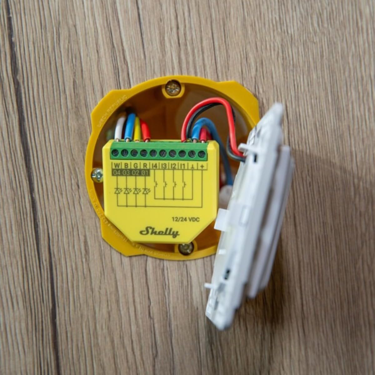 Shelly Plus RGBW PM - Module contrôleur Wi-Fi RGBW pour bandes LED - 12-24 VDC, Mesure de consommation électrique, Aucun hub requis, app iOS Android, Compatible Alexa, Google Home, SmartThings