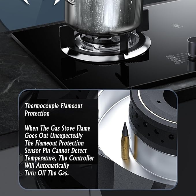 Estufa de Gas Portátil 2 Puestos 16.14x28.74 Pulgadas 110V miniatura 8