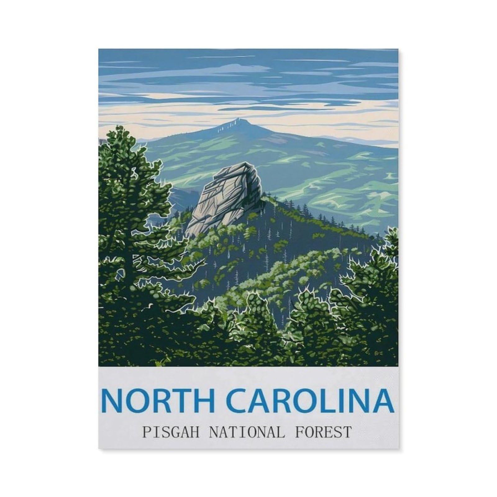 Farmhouse Bathroom Decor Wall Art Funny Bathroom Wall Decor Signs，Pisgah National Forest North Carolina，Tin Sign Home Decor(15x30cm）6x12 inch-ED28