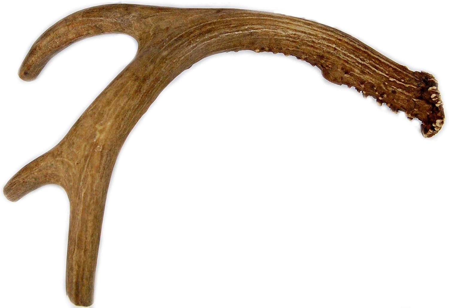 Deer Antler Dog Chew, Medium, 9 Inches to 13 Inches Long. Perfect for Your Medium to Large Size Dogs and Puppies! Grade A Premium. Happy Dog Guarantee!