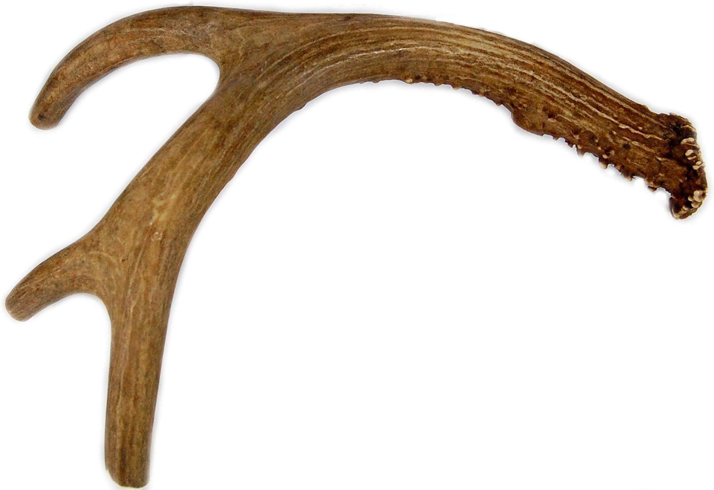 Deer Antler Dog Chew, Medium, 9 Inches to 13 Inches Long. Perfect for Your Medium to Large Size Dogs and Puppies! Grade A Premium. Happy Dog Guarantee!