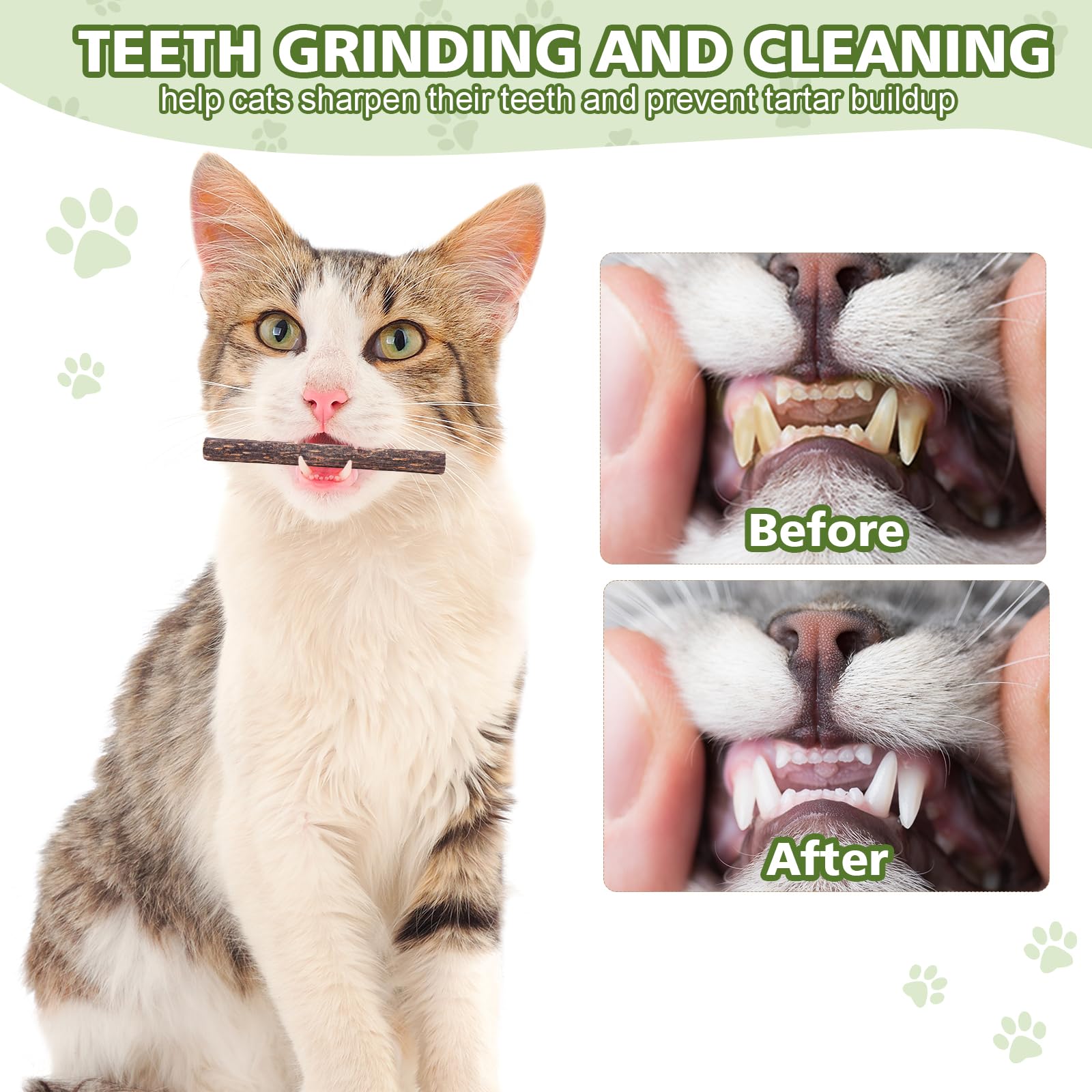 6 Pack Silvervine Sticks Cat Toy, Natural Chew Stick for Dental Care Teeth Cleaning,Matatabi Cat nip Treat Toys for Indoor Cats& Kittens - image 5