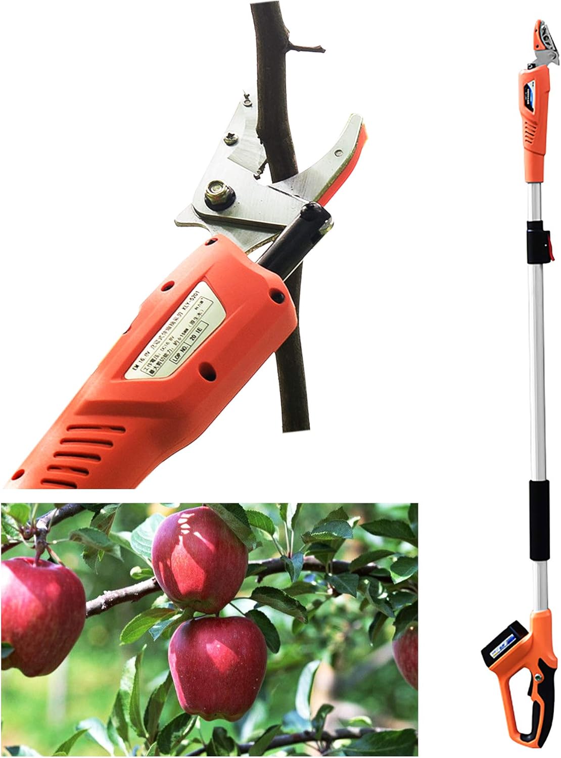 SalmophC Fruit Tree Pruner/Picker, Extendable Tree Pruners Long Reach